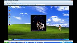 sally on windows xp FOR SAMTALLANT349584985435830958 [upl. by Nannoc]