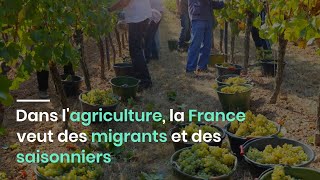 Dans lagriculture la France veut des migrants et des saisonniers [upl. by Knuth]