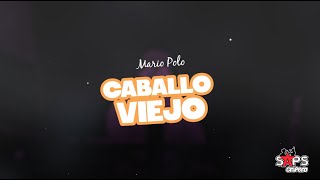 Mario Polo  Caballo Viejo Video Lyric [upl. by Ariajay]