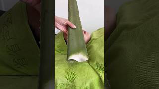 NATURAL ALOEVERA GEL FOR FACE beauty aloevera face natural facepackforfairskin youtubeshorts [upl. by Kulsrud]