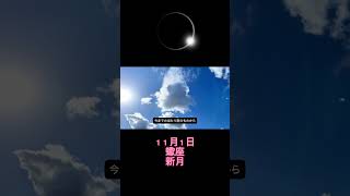 🌑１１月１日蠍座新月パート3🌑 占星術 星占い 星読み 占い ＃サビアンシンボル現実創造＃蠍座新月 [upl. by Nirot]