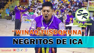 Negritos De Ica  Wiñaq Tusuqkuna  El Shimbador Dorado 2023  Shimbar Runas [upl. by Haskel133]