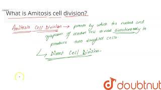 What is Amitosis cell division  CLASS 11  CELL CYCLE AND CELL DIVISION  BIOLOGY  Doubtnut [upl. by Elesig]