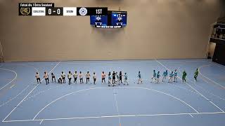 Futsal Klubb Eskilstuna  Sevdah IF [upl. by Daffie]