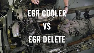 EGR Delete or EGR Cooler [upl. by Einegue755]