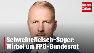 SchweinefleischSager Wirbel um FPÖBundesrat  kronetv NEWS [upl. by Heigho]