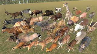 EvenToed Ungulates Animal Speed Comparison in 3D Animation  Realistic World Data [upl. by Atnima242]