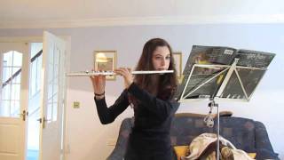 Me playing Hedwigs Theme on the flute [upl. by Ahsineg]