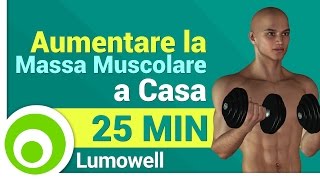 Esercizi da Fare a Casa per Aumentare la Massa Muscolare  Allenamento Completo [upl. by Ylicec]