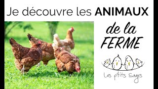 Animaux 1 Je découvre les animaux de la FERME [upl. by Neeleuqcaj]