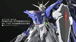 HAOYU MG RISING FREEDOM GUNDAM [upl. by Yeleek]