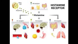 Managing histamine intolerance [upl. by Nwatna304]