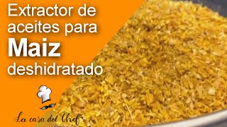 Extracción de Aceite de Maíz Deshidratado con Prensado en Frío Eficiencia y Calidad [upl. by Tray]