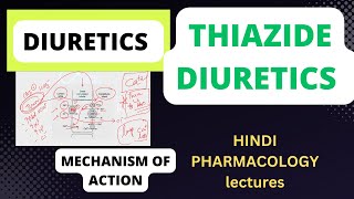 Thiazide diuretics mechanism of action ADRs interactions pharmacology pharmacologylectures [upl. by Thorley]