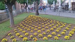 Un parterre con césped naranjos palmera datilera y flores de temporada [upl. by Ayokal60]