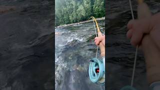 Salmonfishing Norway laksefiske fluefiske flugfiske flyfishing [upl. by Eduj974]