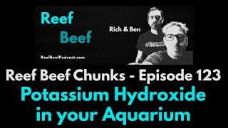 Potassium Hydroxide in your Aquarium  Reef Beef Chunks [upl. by Yak]