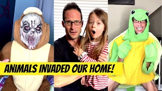 Animals invaded our house An epic hilarious family fun adventure  with bloopers  themccartys [upl. by Carlene]