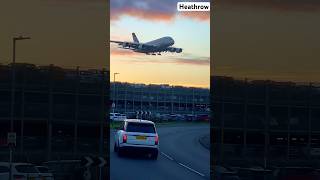 viral BIG PLANES  Heathrow Airport fbreels instareels tiktok aviation heathrow planespotting [upl. by Maxy]