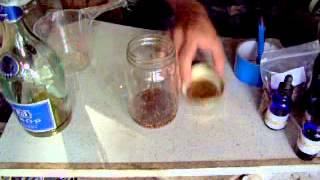 Making rhodiola rosea Golden Root tincture [upl. by Randy]