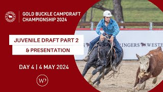 JUVENILE DRAFT PART 2 amp PRESENTATION   Ringers Western Gold Buckle Campdraft Championship 2024 [upl. by Sirap]