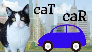 The CAR and the CAT  do we have common relatives [upl. by Nelleh380]