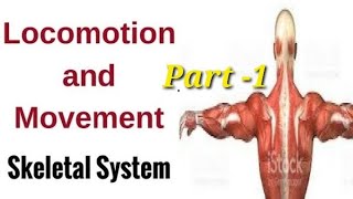 Movement amp Locomotion Part 1  Human Anatomy and Physiology By Laxmi kant sir [upl. by Rubetta]