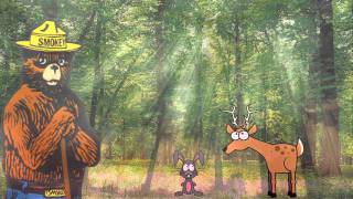 Funny Smokey the Bear Commercial 2011 [upl. by Eglanteen]