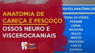 Ossos Neurocraniais e Víscerocraniais  OSTEOLOGIA DE CABEÇA E PESCOÇO [upl. by Dahsra226]