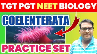 Coelenterata best MCQ  cnidaria mcq  TGT PGT LT GIC amp NEET Biology cnidariamcq coelenteratamcq [upl. by Beverle]