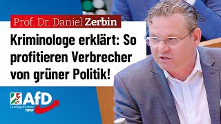 Grüne Politik nützt Kriminellen – Prof Dr Daniel Zerbin AfD [upl. by Auqined498]