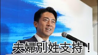 小泉進次郎が夫婦別姓を支持する理由 [upl. by Fischer885]