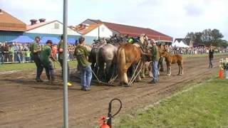 trekpaarden voor de sleepwagen [upl. by Mot]