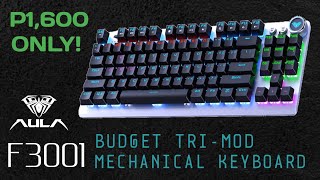 Aula F3001 Review  Budget TRIMOD TKL Mechanical Keyboard 2023 [upl. by Milson]