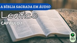 AUDIOBOOK A BÍBLIA NARRADA  LEVÍTICO CAP 1 [upl. by Daron]