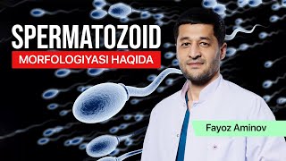 Spermatozoid morfologiyasi haqida  Fayoz Aminov [upl. by Noraed]