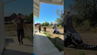 The best Halloween SCARE prank 😂👻 prank funny marriedlife comedy [upl. by Fabrianna724]