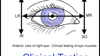 Clinical testing extraocular muscles tutorial [upl. by Ainoyek]