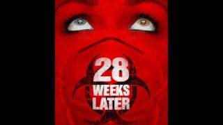 28 Weeks Later  28 Theme [upl. by Reizarf]