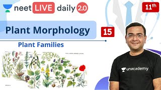 NEET Plant Morphology  L15  Class 11  Live Daily 20  Unacademy NEET  Pradeep Sir [upl. by Yong]