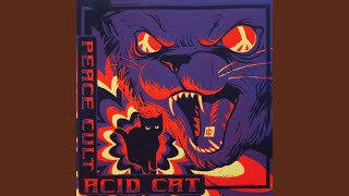 Acid Cat [upl. by Anael916]