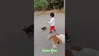 Chinki Pinki kaha bhag rahi uo 🤔🤔🤔🤪trendingshorts funny [upl. by Braswell841]