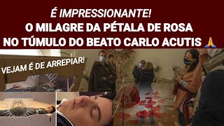 O Milagre Da Pétala De Rosa No Túmulo Do Beato Carlo Acutis [upl. by Enos]