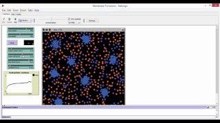 NetLogo membrane formation [upl. by Nitsirc619]