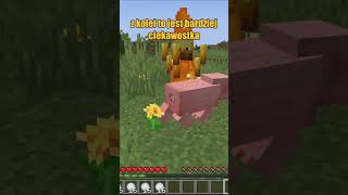 Śpiwór w minecraft shorts [upl. by Lorien]