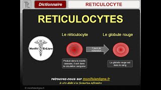 RETICULOCYTES  Elément du bilan sanguin  Que sont les réticulocytes pourquoi les doser [upl. by Lindemann]