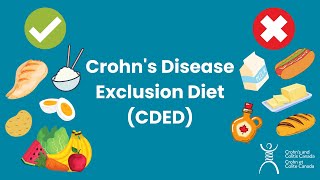 Crohns Disease Exclusion Diet CDED [upl. by Tana]