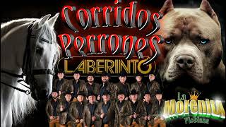 corridos perrones mix Grupo laberinto [upl. by Bibah]