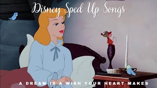 A Dream Is a Wish Your Heart Makes Sped Up Cinderella TikTok Audio [upl. by Mushro]