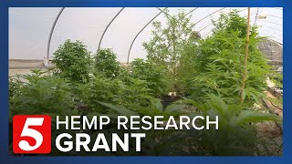 5 million grant can make TSU the No 1 hemp grower in the southeast [upl. by Ennaeel600]